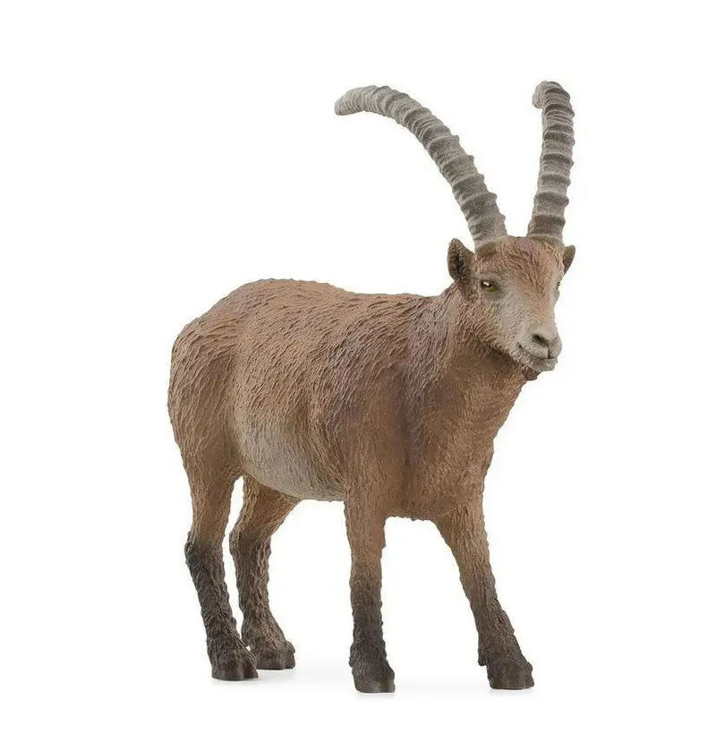 14873 Schleich Stambecco