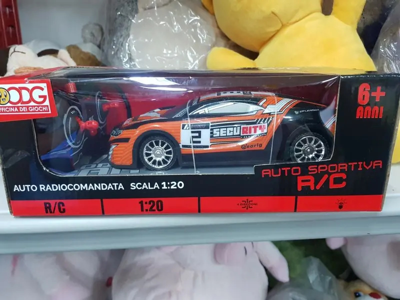 AUTO RALLY R/C 1
