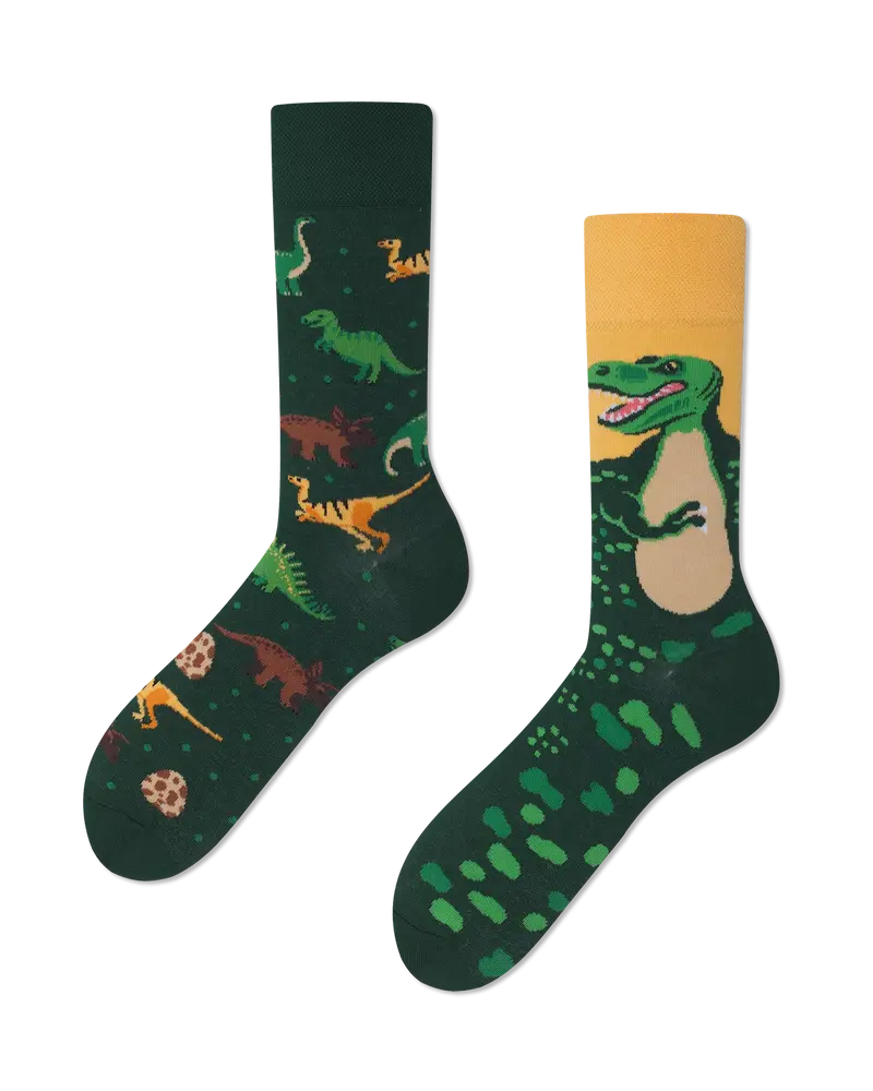 Calzini The Dinosaurs