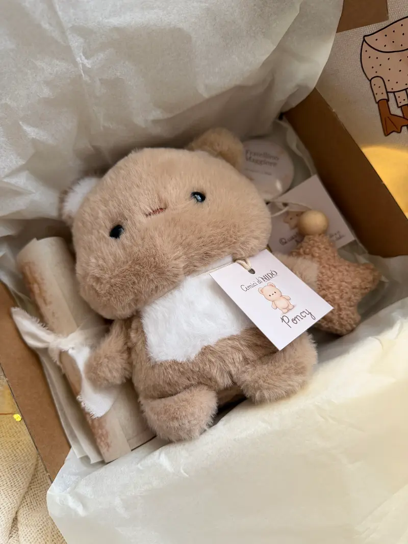 Kit Poncy 🧡 Amico di Nidò