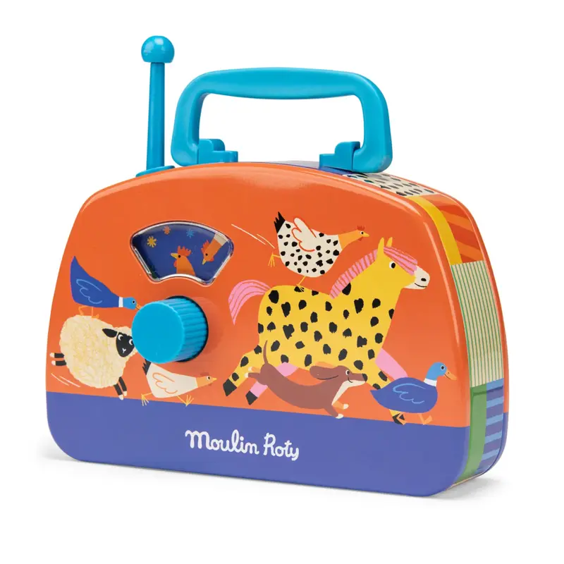 Radio musicale